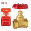 Bingyu AB4053 Brass Manual Globe Valve