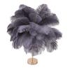Ostrich Feather Table Lamp Rechargeable Modern Romantic Decoration Lamp Bedroom Bedside Lamp for