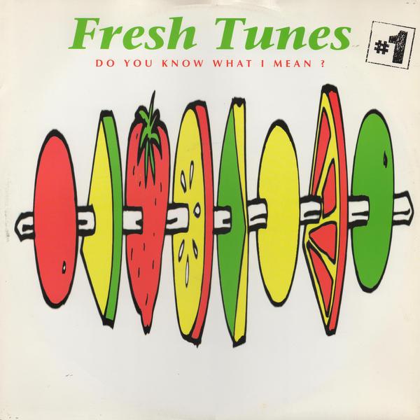 

12-дюймовая пластинка FRESH TUNES 1 Do You Know What I Mean 74321169391 Logic Records 1993 UK Dance Electronica Б/у