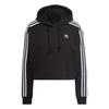 Womens/Ladies Classics Loose Fit Crop Hoodie