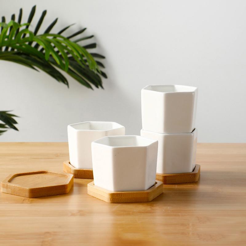 Seramik Saksı Beyaz Altıgen Seramik Saksı Tepsili Avrupa Saksısı Basit Sukulent Bitki Kabı Küçük Bonsai Saksıları