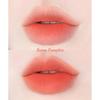 Hevvy Makeup Bluring Effect Lip Tint Burnt Pumkin