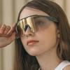 Ara Photochromic Lens Goggles_6 Color