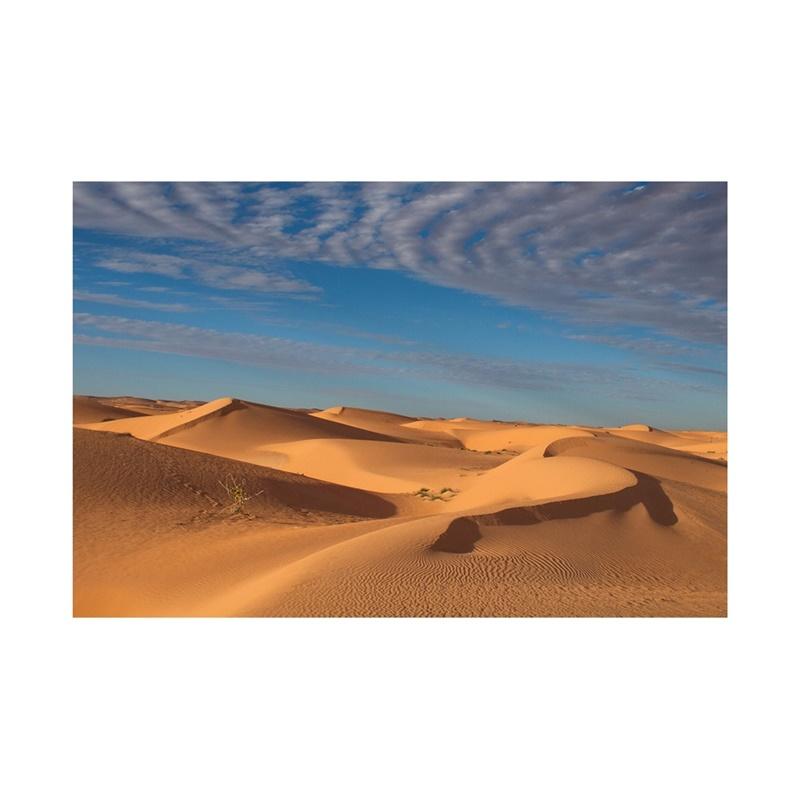 Desert Series Photography Background Natural Scenery Backdrop Photo Backdrop Studio Supplies Props Home Decor