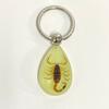 Keychain Pendant Decorative Exquisite Glow In The Dark Crabs Ants Spider Scorpion Key Ring Pendant for Men