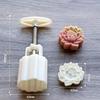 Lotus Flower Mooncake Mold Hand Press Pastry Mold 50G 3D Embossing Diy Mung Bean Cake Tool For Mid Autumn Festival Baking