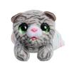 Hasbro FurReal Naptime Baby Electric Plush Electronic Interactive Suitable for Ages 18 Months and G4329 Kitten, Toy, Pet, Pet, Up, (Authentic Product)