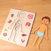 Boys Girls Wooden Human Body Puzzle Multi-Layer Educational Anatomy Jigsaw  Preschool Game