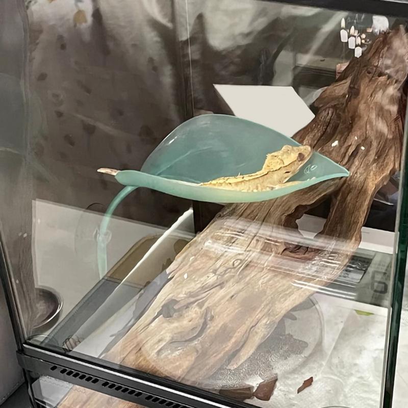 Sonnenplatz für Schildkrötenbecken Ruheterrasse Saugnäpfe Beckenzubehör für Zwergfrösche Leopardgecko Kröten Blattform Dekor