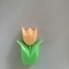 Tulip Flower-Shaped Scented Candle - Teacher's Day Gift & Party Favor