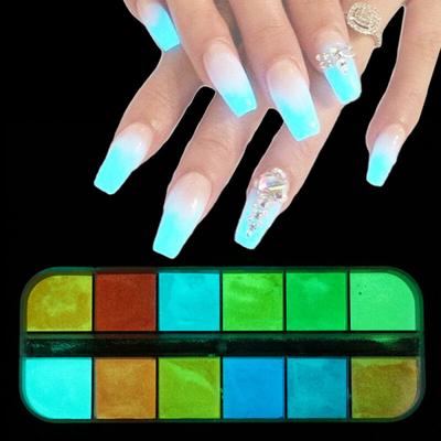 12 Nail Art Glitter Powder Ultra Fine Glow In the Dark Pigment Tips Decoration