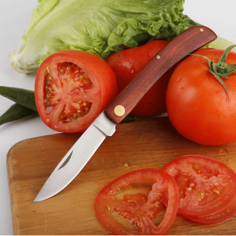 Stainless Steel Fruit Knife Portable Folding Knife with Wooden Handle Household Fruit Folding Peeler Kitchen Tool Mini