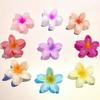 2025Hawaiian Summer Hair Claw Clips Set Tropical Flower Hairpins With Gradient Design Beach Vacation Hair Accessories Collection