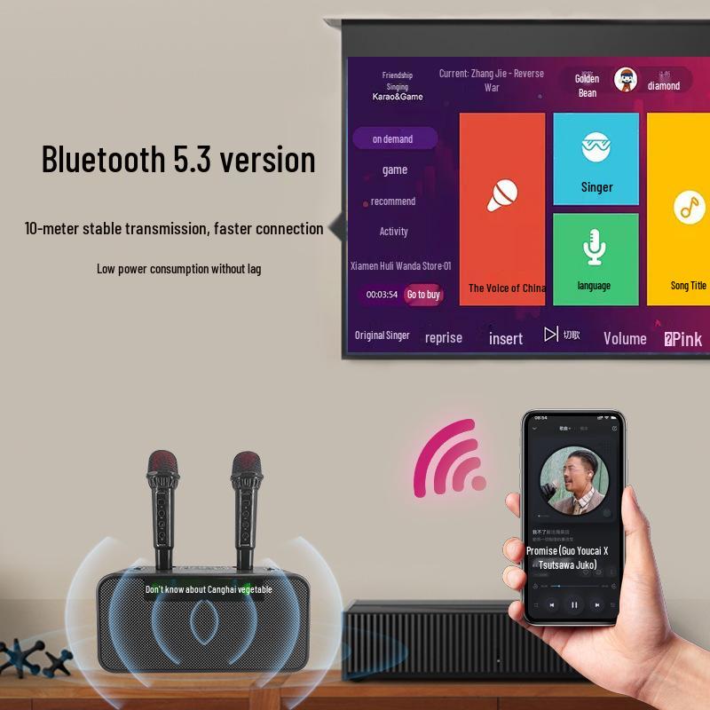 Wireless KTV Speaker with Bluetooth Lyrics Display & Reverb Control