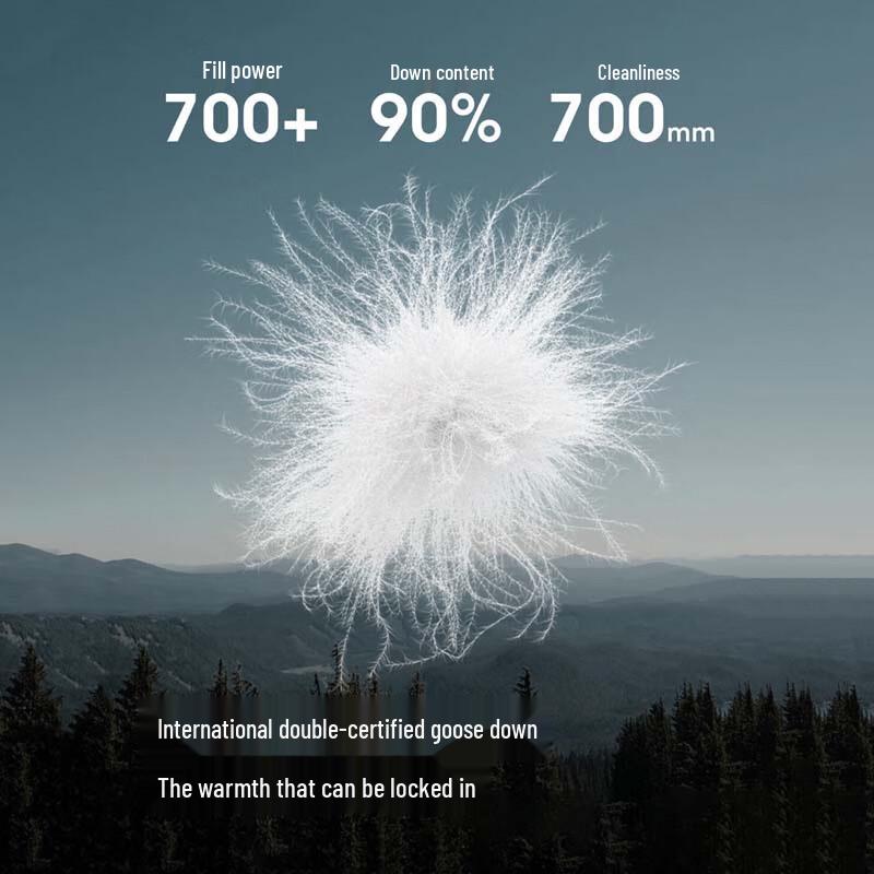 Bosideng B250131048 Hooded Lightweight Down Jacket