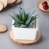 Natural Round Wood Coasters Cup Pad Tea Coffee Mug Mat Drinks Holder Table Mat Wooden Coasters DIY Crafts Home Kitchen Decor