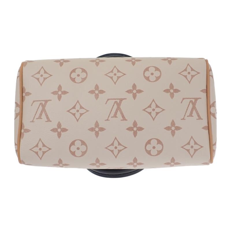 LOUIS VUITTON M46906 2WAY bag white/beige Women