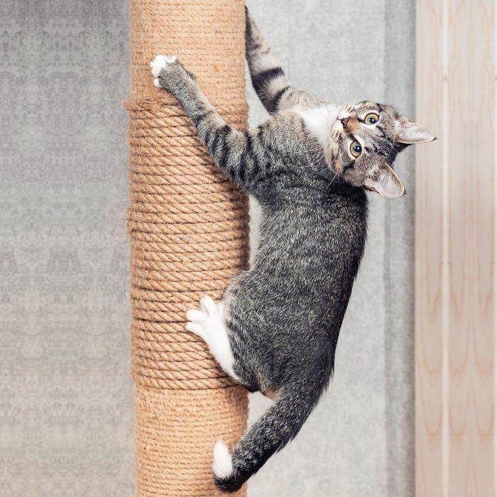 Jute Rope - 8 Mm X 10 M - Natural Jute - Eco-friendly - For Crafts, Gardening, Decoration