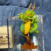 [USED] Dragon Ball HG Figure Shenron
