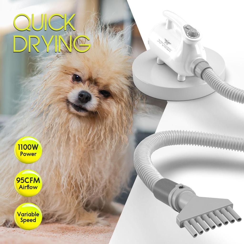 XPOWER B-113 Pet Grooming Hair Dryer Blower Professional Force Dryer Dog Hair Dryer Pet Blower Lightweight Mobile Grooming Kit