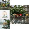 Realistic And Lifelike Genshin Impact Q Version Pvc Doll Miniature Figures Set Ornaments
