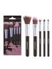 5PCS/Set Halloween Christmas Gift Makeup Brush Set, (Powder Blusher Brush, Base Brush, Eye Shadow Br