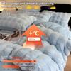 Bed Four-piece Autumn and Winter Flannel Double-sided Fleece Coral Fleece Bed Sheet Quilt Cover Pillowcase