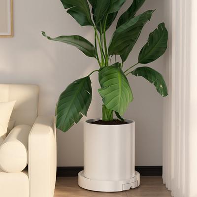 Yousheng Untersetzer mit Rädern, Schwerlast-Pflanzenroller mit Wasserspeicherschublade, Rollendes Blumentopf-Tablett für Zuhause, Garten, Balkon, Büro