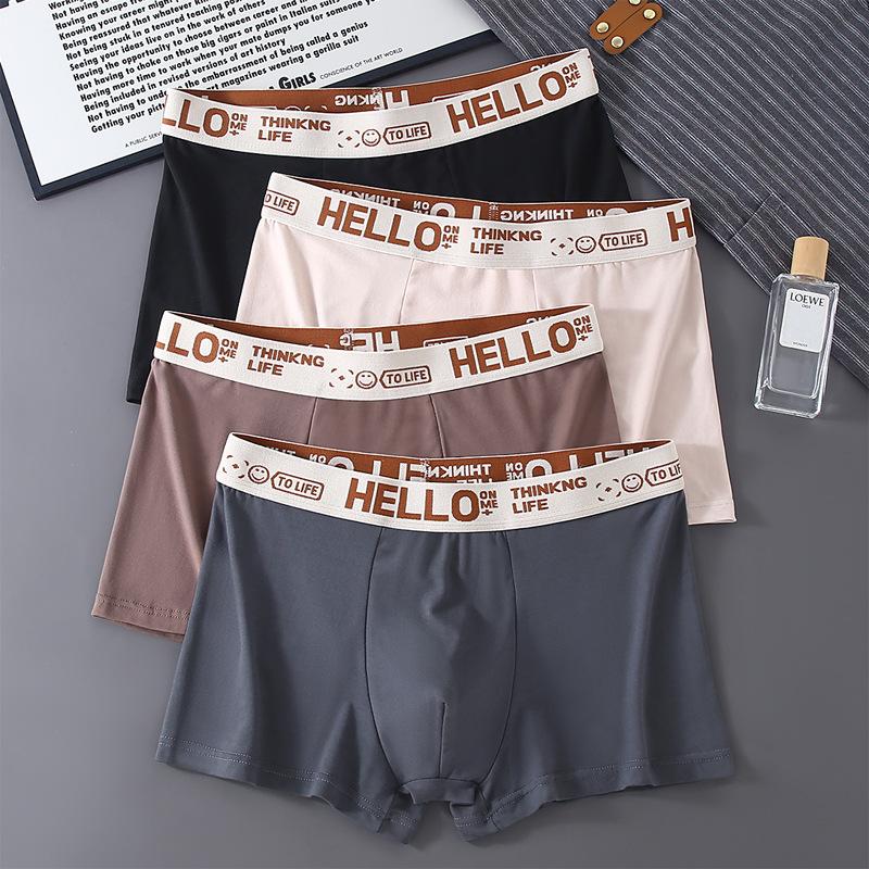 Large Size Men's Spring and Summer Fashion New Waist Flat Angle Underwear