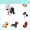 Kit de Blocos de Construção de Partículas Pequenas Estrela Modelo de Animal Cachorro Diy Para Crianças Criativas