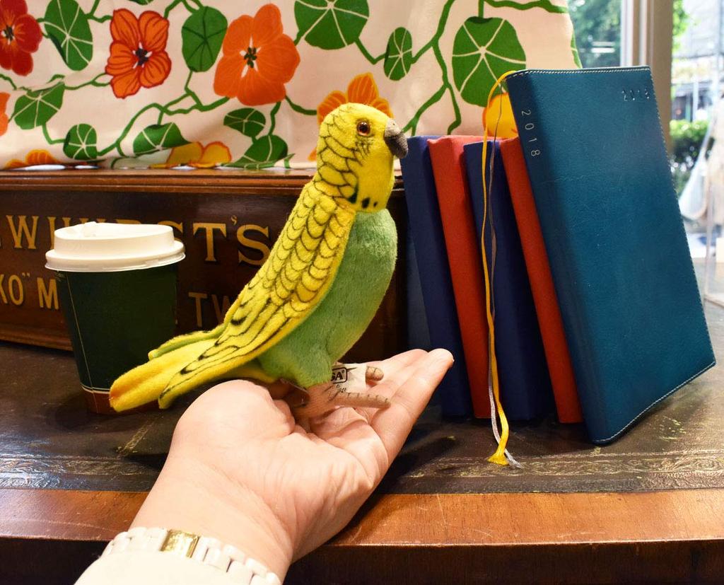 BH3653 HANSA Green Budgerigar 21