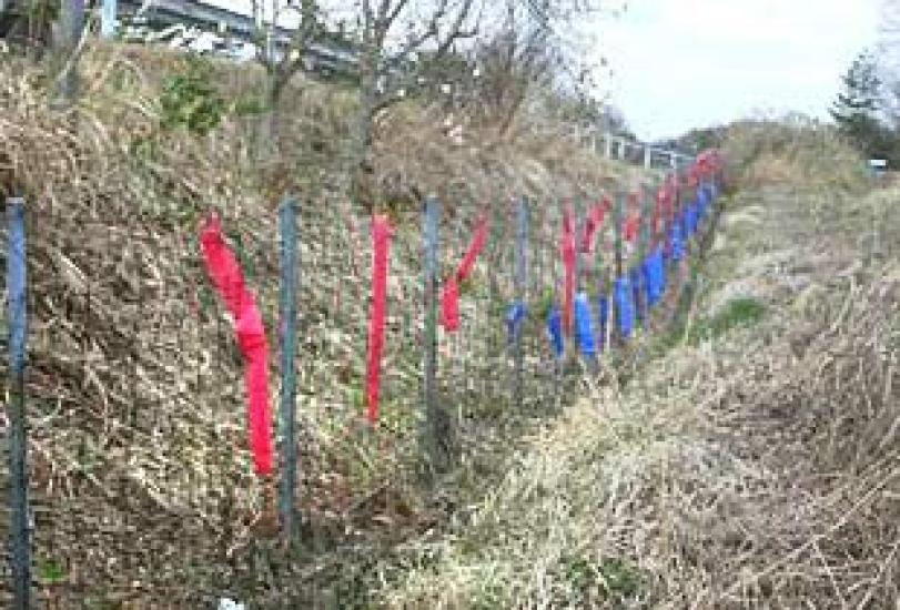 Why Do Deer Run Set of 6 Deer Repellents for and Ezo Deer Bird and Animal Pest Deer Deer Pest Control Away? Deer, Serow, - Control, Repellent,