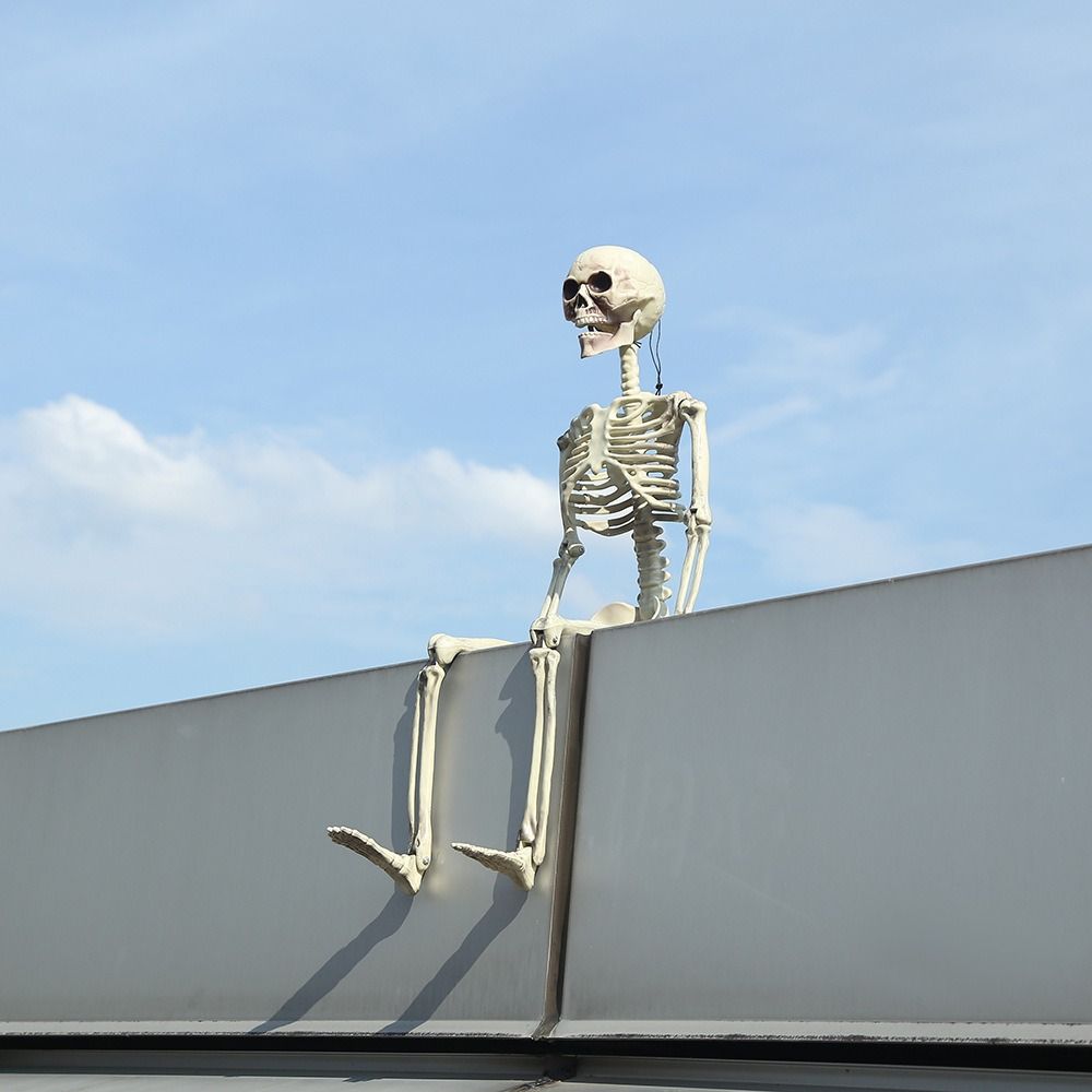 With Sound Halloween Movable Skeleton 40cm Simulated Human Skeleton  Haunted House