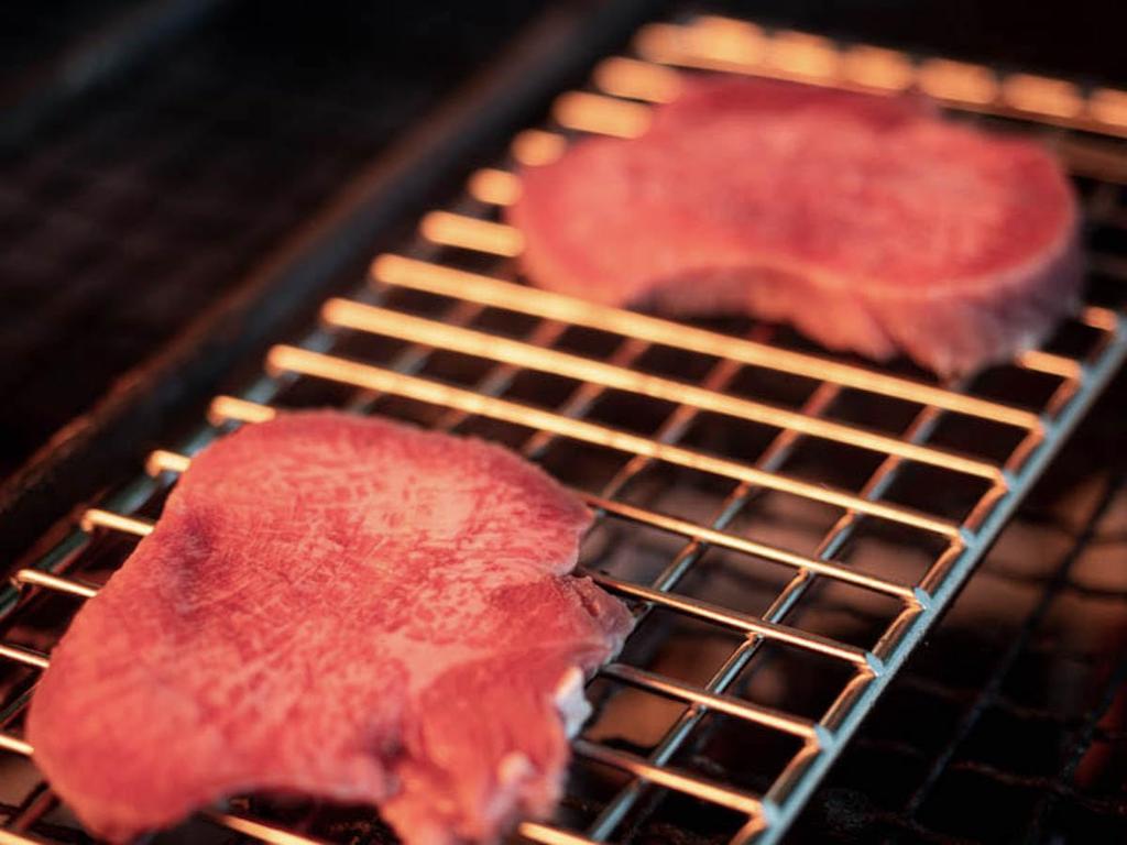 CAMPING MOON A4 Size Lightweight Stainless Steel Grates for Bonfire Grills, MTG-G