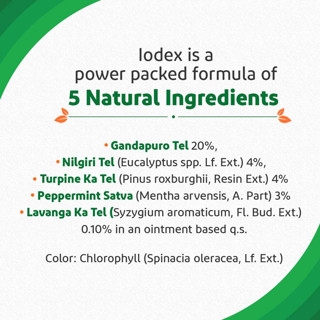 Iodex Multi-Purpose Pain Balm 8g Pack Fast Relief Natural Herbal Pain Relief Ointment for Muscles Joints Body