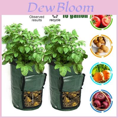 Durable And Reusable Potato Bags For Balcony And Patio Gardening 10 Gallon Capacity