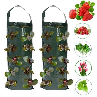 PE Garden Plant Grow Bags Vertical Strawberry Planting Bag Hanging Three-dimensional Plant Bag Seedling Bag Multi Mouth Holes