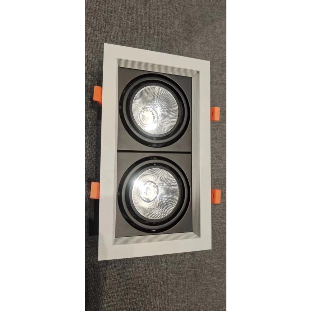 

Светодиодный потолочный светильник с регулируемой яркостью 10 Вт 20 Вт 30 Вт AC85V-265V, встраиваемый светодиодный светильник, точечный светильник для домашнего освещения 110 В 220 В 20W 2 head&4000K