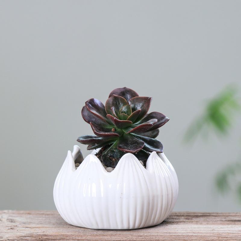 Simple Home Gardening Creative Succulent Flower Pot, Japanese Grocery Small Cartoon Ceramic Flower Pot Small