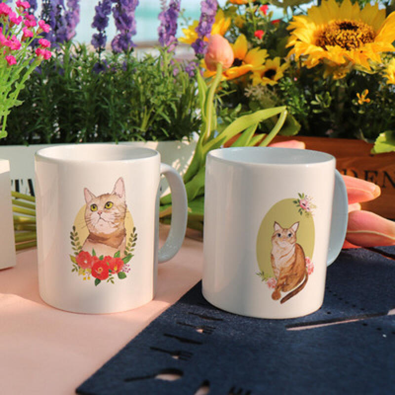 ib245-Design Mug 2p-Flower Cat