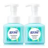Blue Moon Mint Foam Hand Soap