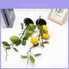 Lemon Indoor Decorative Plant With Faux Fruits For Photography And Home Decor