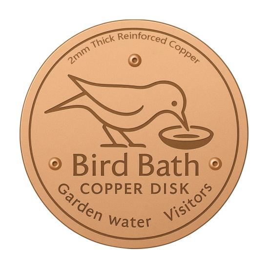 Hummingbird Bath Copper Disk Easy To Use Universal Fit Pure Copper Cleaning Disk with Triple-Point Support