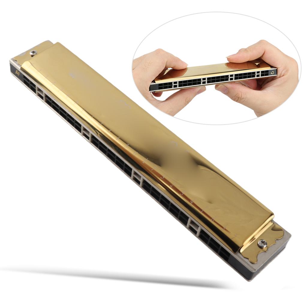 24 Hole Tremolo Harmonica Harp Wind Musical Instrument for Beginner Children Gift