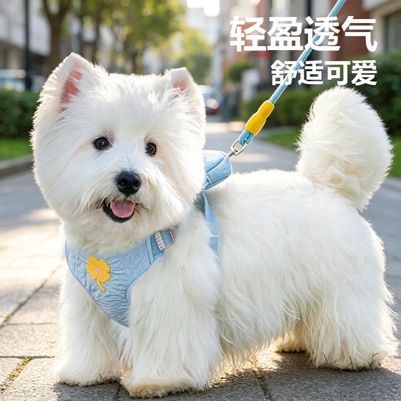 Dog Leash Dogs Walking Leash Small and Medium-sized Pet Chest Harness Dog Backpack Going Out