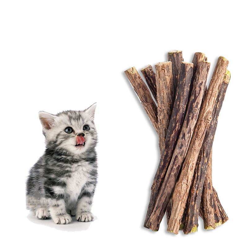 Nip Cat Sticks Dried Natural Silvervine Dental Chew Toy Teeth Clean Toothbrush