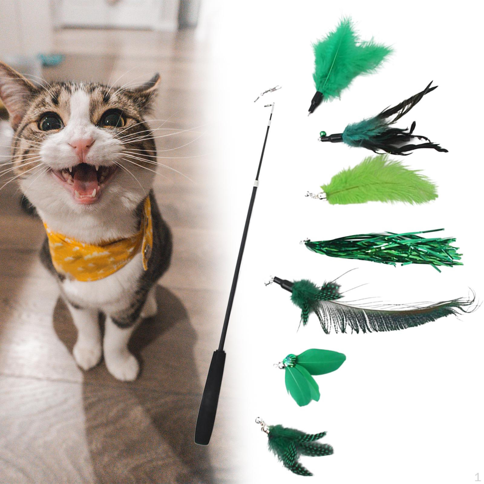 Cat Feather Toy Set Telescopic Rod Playing Faux Having Fun Exerciser Teaser Toys with 7Pcs