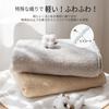 AIFY Face Hotel Soft To the Fast Water Less Set of 40 X Brown Towel, Large, Specification, Fluffy, Touch, Absorption, 100% Cotton, Durable, Shedding,
