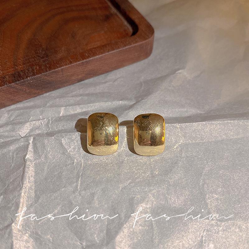 925 Sterling Silver Needle Earrings - Korean Style Niche Popular Internet Celebrity Accessories