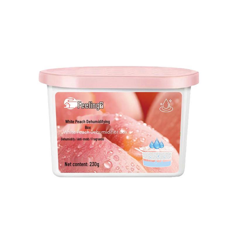 Calcium Chloride Moisture-Proof Dehumidifier Box: Anti-Mold Desiccant for Indoor Use & Wardrobe